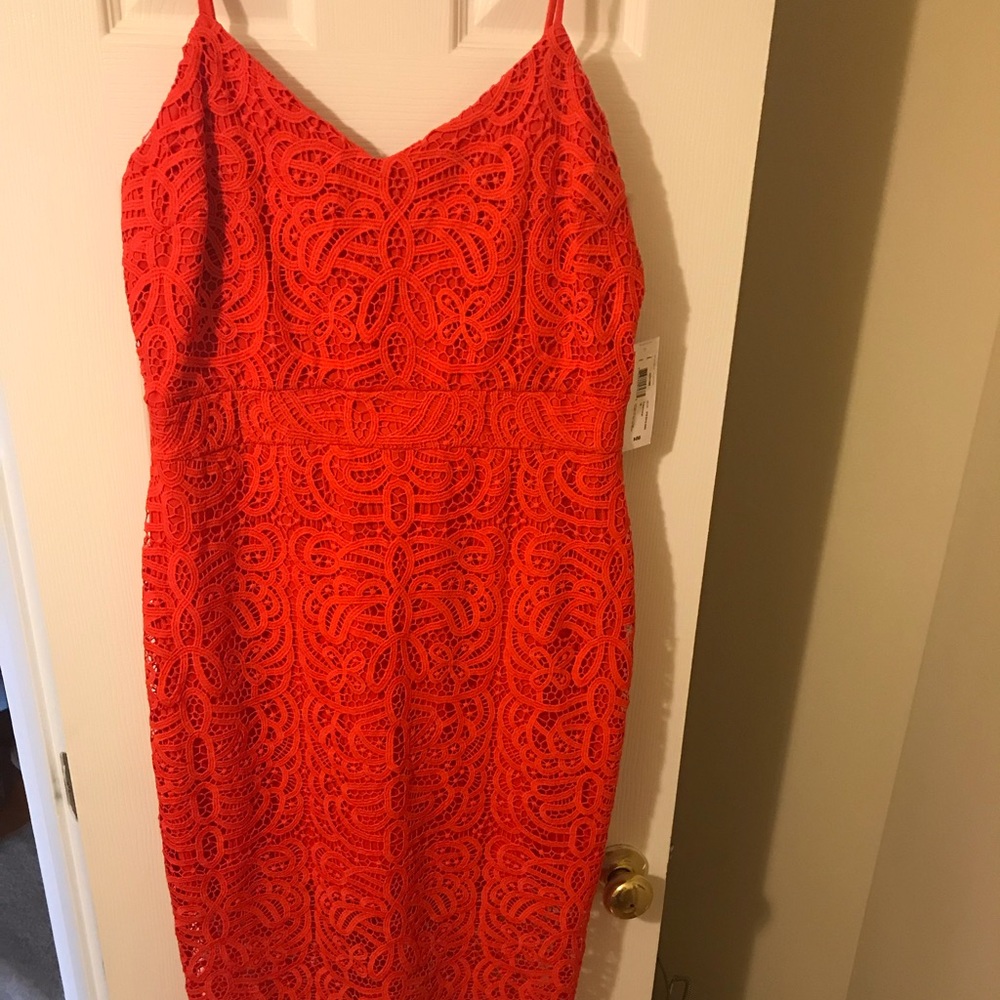 Bisou Bisou orange dress